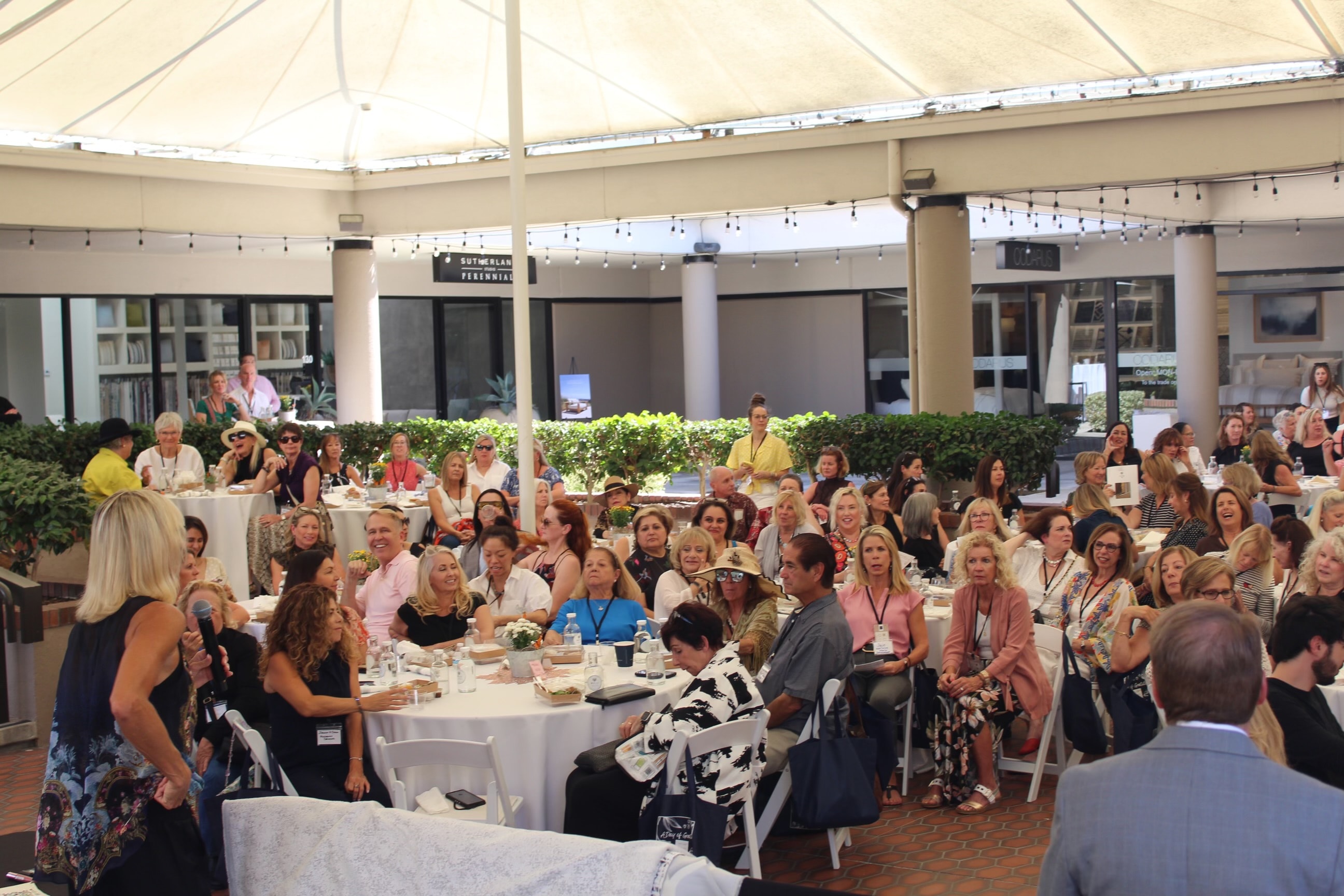 Curated Connections event